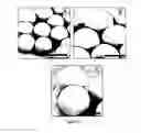 Fig. 06 - Microparticles