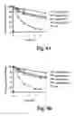Fig. 06 - Biodegradable polymeric nanocapsules and uses thereof