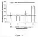 Fig. 06 - Method for modulating steroidogenic activity