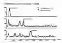 Fig. 04 - Process for enhanced flavoring of beverages and product produced therefrom