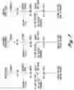 Fig. 07 - Arundo donax paper product