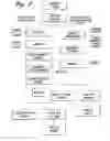 Fig. 08 - Arundo donax pulp and related methods