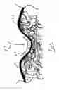Fig. 04 - Reticulated open cell filling material