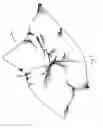 Fig. 09 - Reticulated open cell filling material