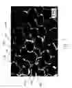Fig. 10 - Reticulated open cell filling material