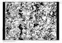 Fig. 01 - Mesoporous silica/fluorinated polymer composite material