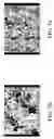 Fig. 07 - Mesoporous silica/fluorinated polymer composite material