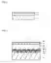 Fig. 02 - Object with composite hard coating layer and method of forming composite hard coating layer