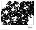 Fig. 01 - Black iron-based particles and black toner containing the same