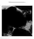 Fig. 02 - Titanium dioxide pigment having improved light stability