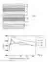 Fig. 02 - Magnetic recording medium and the method of manufacturing the same