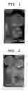 Fig. 02 - Lithium-manganese composite oxide granular secondary particle, method for production thereof and use thereof