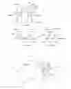 Fig. 06 - Orthodontic bracket