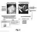 Fig. 04 - Screening system for modulators of her2 mediated transcription and her2 modulators identified thereby