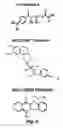 Fig. 07 - Screening system for modulators of her2 mediated transcription and her2 modulators identified thereby
