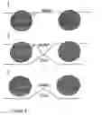 Fig. 10 - Method for the improvement of transport across adaptable semi-permeable barriers