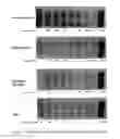 Fig. 02 - Methods and compositions for modulating “marginally indiscriminant” hybridizations