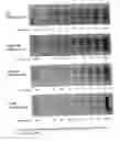Fig. 07 - Methods and compositions for modulating “marginally indiscriminant” hybridizations