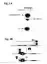 Fig. 05 - Protein modulation