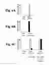 Fig. 08 - Protein modulation