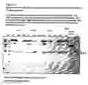 Fig. 202 - Enzyme and snp marker for disease