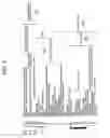 Fig. 05 - Human mitochondrial dna polymorphisms, haplogroups, associations with physiological conditions, and genotyping arrays