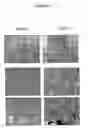 Fig. 10 - Method for identification of modulators of pre-adipocyte differentiation