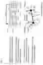 Fig. 06 - Method for characterising and/or identifying active mechanisms of antimicrobial test substances