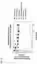 Fig. 11 - Method for characterising and/or identifying active mechanisms of antimicrobial test substances
