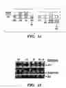 Fig. 14 - Jade nucleic acids, proteins and uses thereof