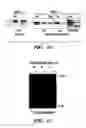 Fig. 15 - Jade nucleic acids, proteins and uses thereof
