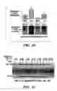 Fig. 17 - Jade nucleic acids, proteins and uses thereof