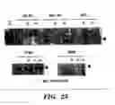 Fig. 20 - Jade nucleic acids, proteins and uses thereof