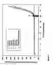 Fig. 05 - Compositions for in vitro amplification of nucleic acids