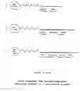 Fig. 04 - In vitro process for producing multiple nucleic acid copies
