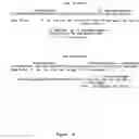 Fig. 24 - In vitro process for producing multiple nucleic acid copies