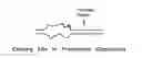Fig. 05 - In vitro processes for producing multiple copies of primer sequence-free specific nucleic acid