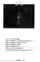 Fig. 20 - In vitro processes for producing multiple copies of primer sequence-free specific nucleic acid