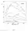 Fig. 23 - In vitro processes for producing multiple copies of primer sequence-free specific nucleic acid