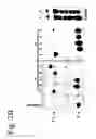 Fig. 05 - Nucleic acid-chelating agent conjugates