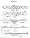 Fig. 02 - Method for DNA amplification using DNA blocking probes
