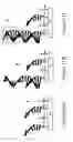 Fig. 13 - Methods for the electrochemical detection of target compounds
