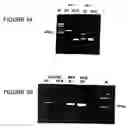 Fig. 02 - Method for the detection of osteoarthritis related gene transcripts in blood