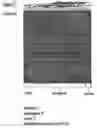 Fig. 22 - Method for the detection of osteoarthritis related gene transcripts in blood