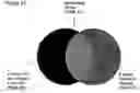 Fig. 32 - Method for the detection of osteoarthritis related gene transcripts in blood