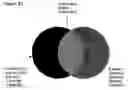 Fig. 33 - Method for the detection of osteoarthritis related gene transcripts in blood