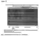 Fig. 35 - Method for the detection of osteoarthritis related gene transcripts in blood