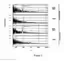 Fig. 02 - Bead bound combinatorial oligonucleoside phosphorothioate and phosphorodithioate aptamer libraries