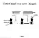 Fig. 04 - Bead bound combinatorial oligonucleoside phosphorothioate and phosphorodithioate aptamer libraries