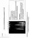 Fig. 29 - Compositions and methods for synthesizing cDNA